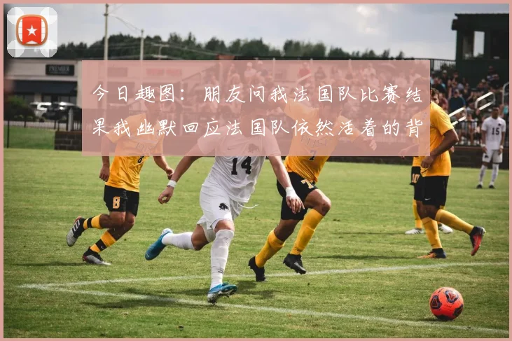今日趣图：朋友问我法国队比赛结果我幽默回应法国队依然活着的背后故事